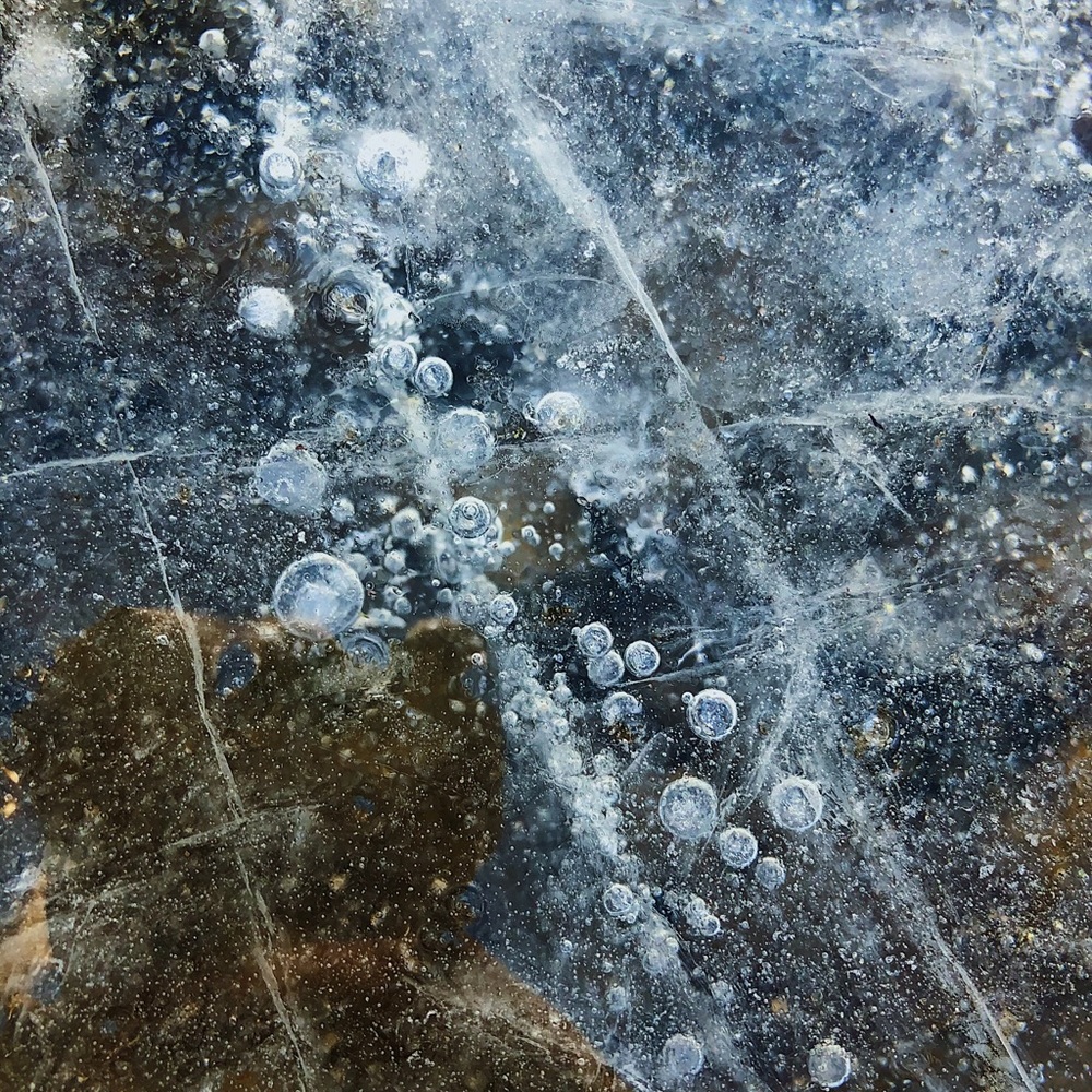 Meet your Posher, Janelle